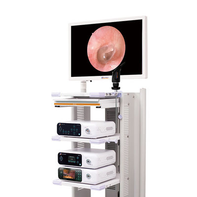 Полная камера системы 4k камеры Endoscope HD медицинская Laparoscopic