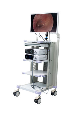 Медицинская полная камера Endoscope HD для хирургического ENT Arthroscopy Hysteroscopy Gynecology лапароскопии